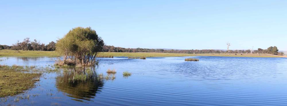 Lake Marshall is a seasonal surface expression of the Gnangara Water Mound