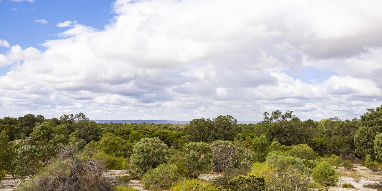 Whiteman Park bushand WEB BANNER