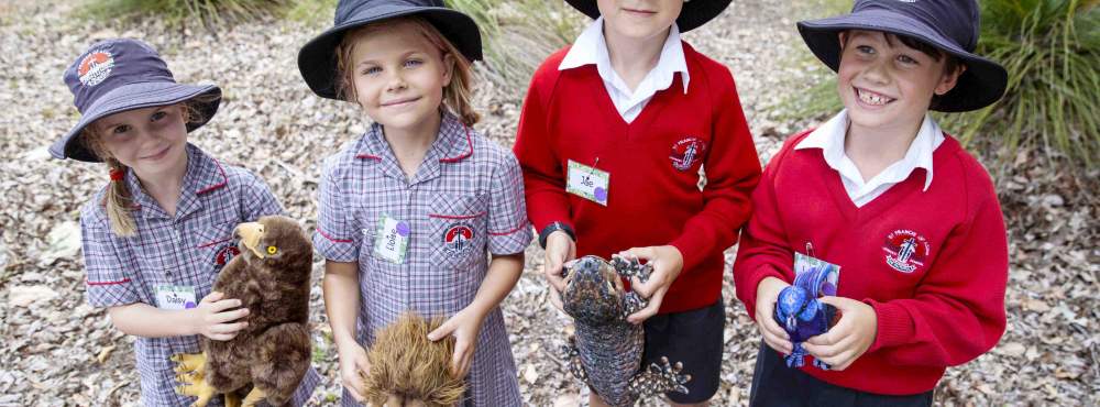 Whiteman Park education introducing native fauna WEB