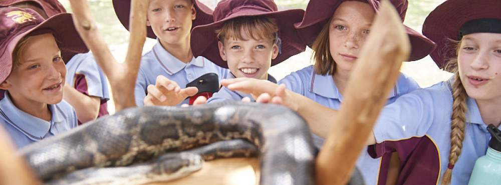 Whiteman Park education snakes alive CGF17 WEB