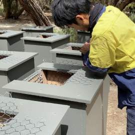 Whiteman Park nest box construction