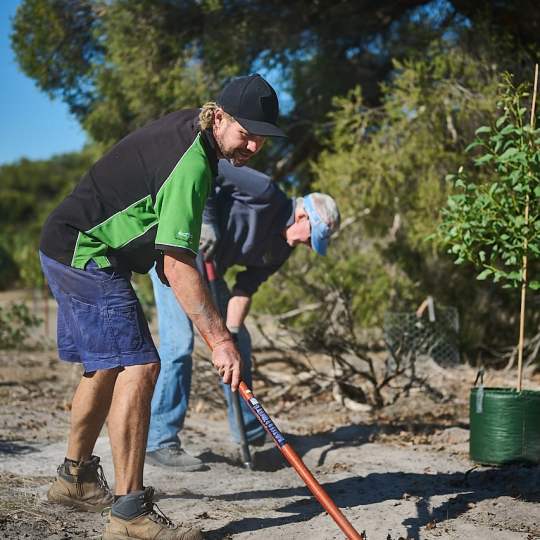 Whiteman Park habitat planting in Woodland Reserve WEB