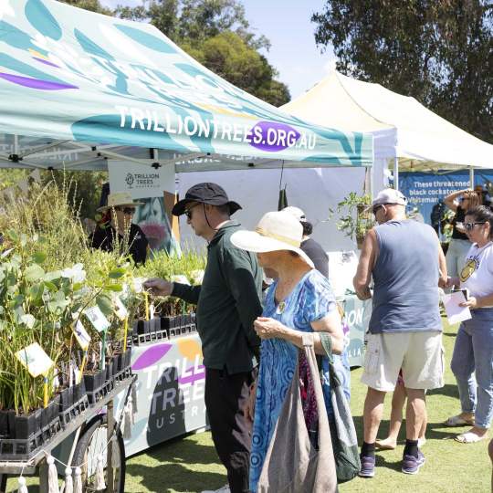 Whiteman Park Enviro Fest 2023 Hi Res 113 WEB