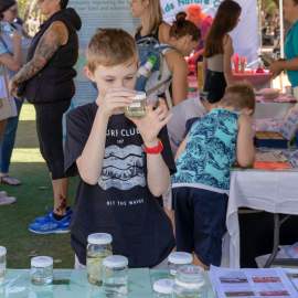 Enviro FEST SERCUL frog display WEB