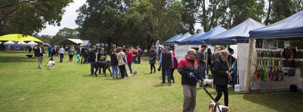 Whiteman Park Doggies Day Out2018 Hi Res 77 web