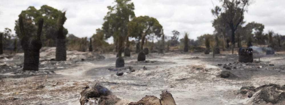 Whiteman Park fire aftermath WEB