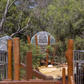 Playgrounds - Pia's Place - looking towards nests