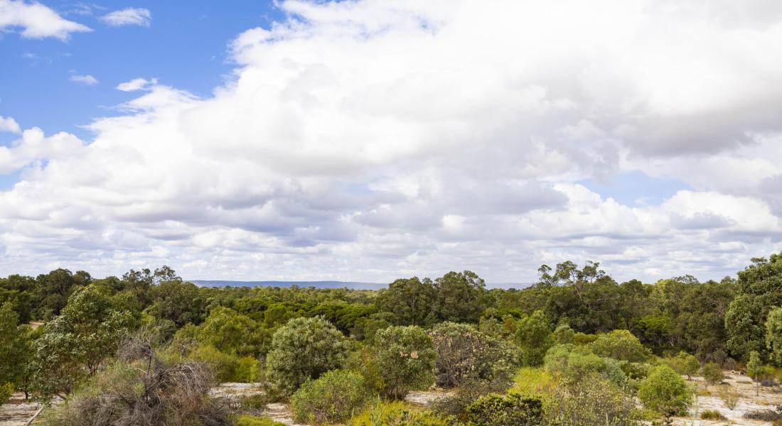 Whiteman Park bushand WEB BANNER