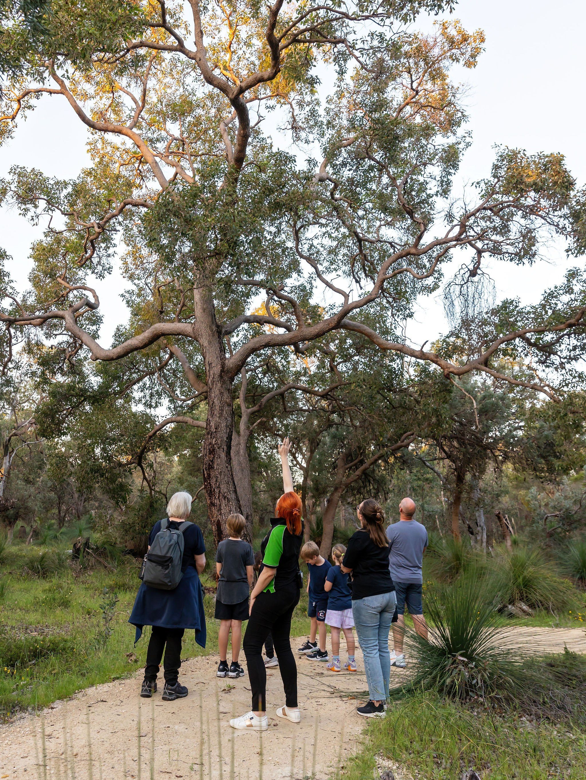 Tour - Learn about the habitats of Whiteman Park